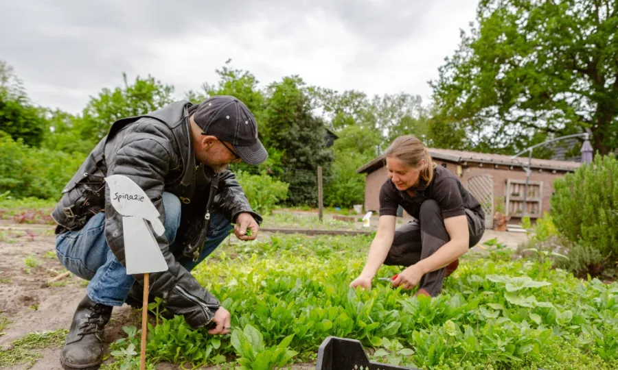 Werk | Leer | Beleef Veluwe 