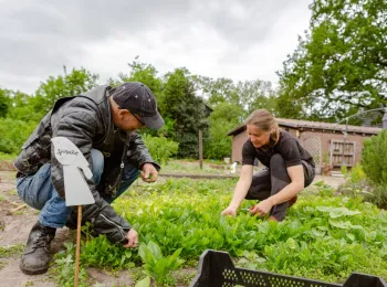 Werk | Leer | Beleef Veluwe 