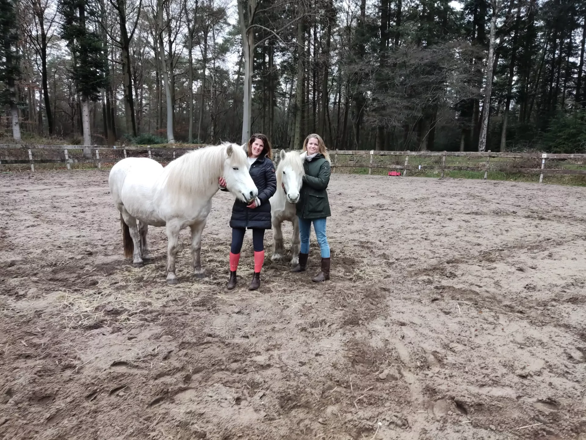 Joyce en Annemiek met de paarden
